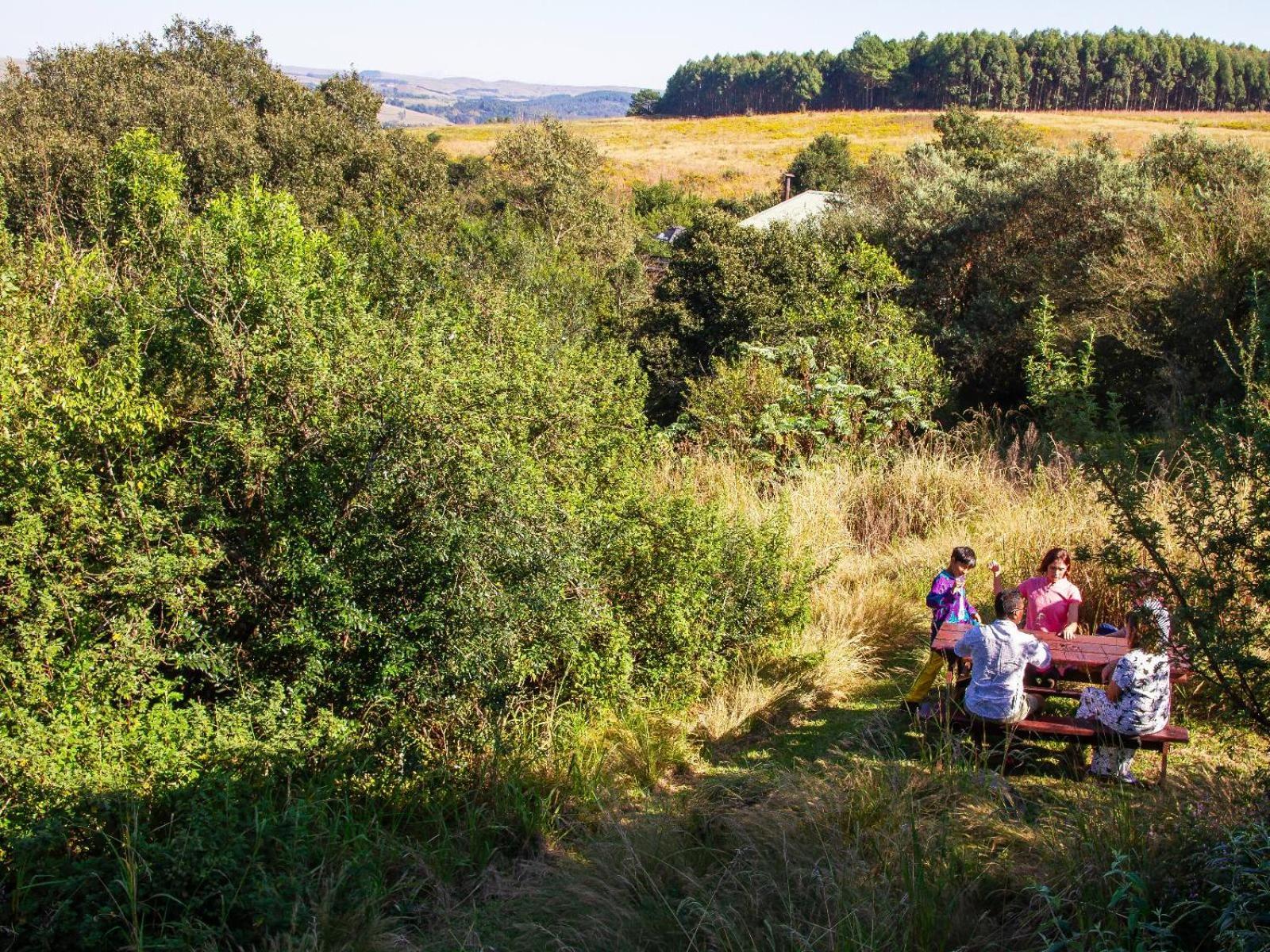 Midlands Forest Lodge Balgowan Екстер'єр фото