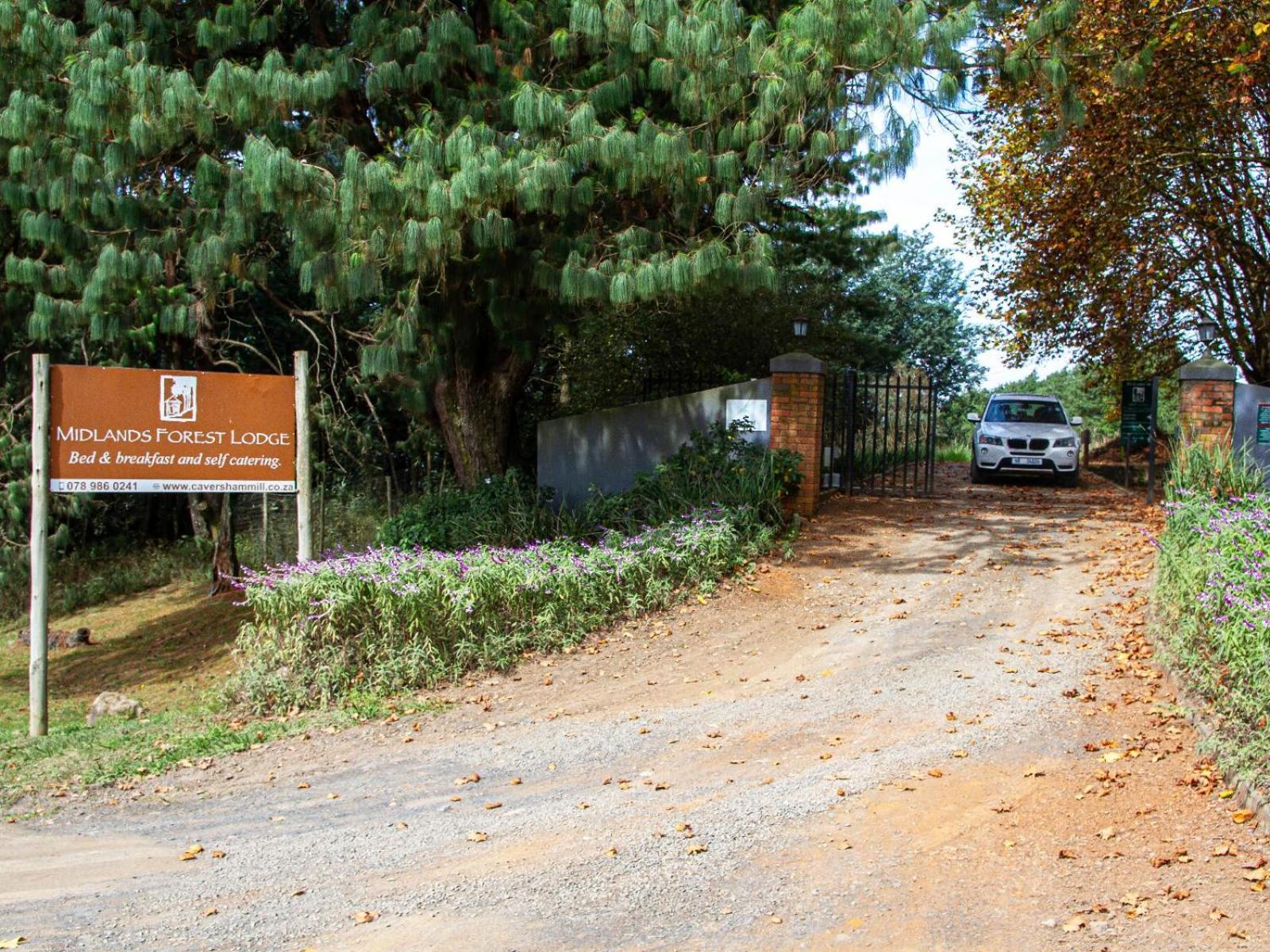 Midlands Forest Lodge Balgowan Екстер'єр фото
